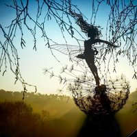 Wind To Fly